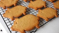 Marranitos