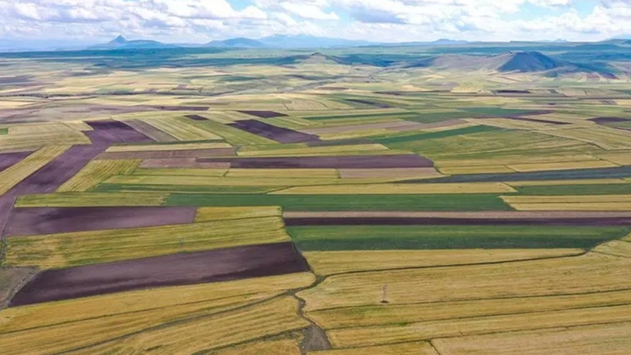 26 Şubat'ta yapılacak satış ihaleleri ise şu illeri kapsıyor:
“Mardin, Bitlis, Elazığ, Aksaray, Ankara, Düzce, Eskişehir, Denizli, Kastamonu, Mersin, Samsun, Yozgat”
