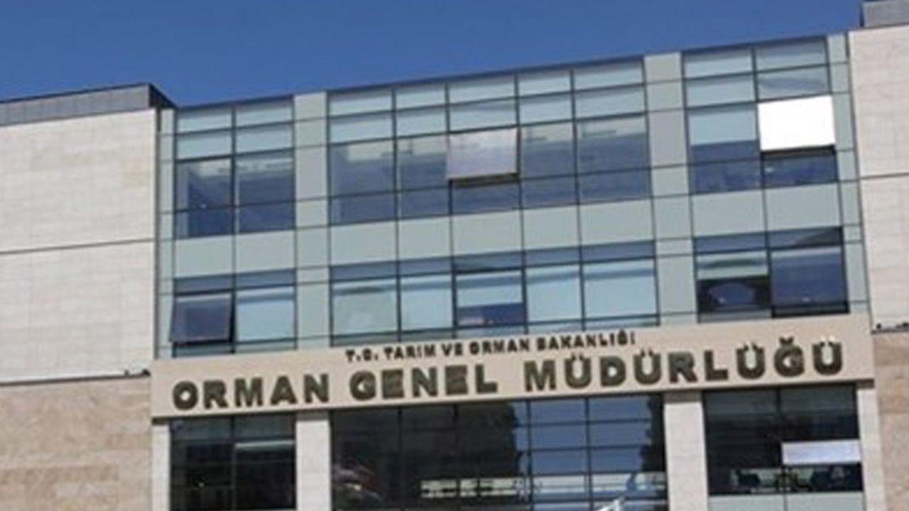 İSTİHDAM ARTACAK
Hem Orman Genel Müdürlüğü’nün taşra teşkilatındaki işçi alımları hem de DMO’nun müfettiş yardımcılığı için yapacağı alımlar, kamu kurumlarında iş arayanlar için önemli fırsatlar sunuyor. Bu alımlar, sektördeki uzman personel ihtiyacını karşılamak ve kamu hizmetlerinin etkinliğini artırmak adına önemli bir adım olarak değerlendiriliyor.
