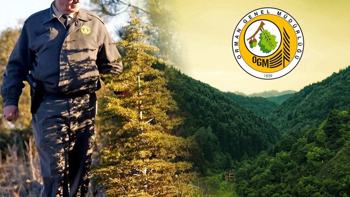 Başvurular, e-Devlet Kapısı üzerinden ve Devlet Malzeme Ofisi’nin kariyer portalı üzerinden yapılacak. Ayrıca, müfettiş yardımcılığı için yazılı sınav 27 Nisan’da iki oturum halinde yapılacak. Yazılı sınavda başarılı olan adaylar ise sözlü sınav aşamasına geçebilecek.