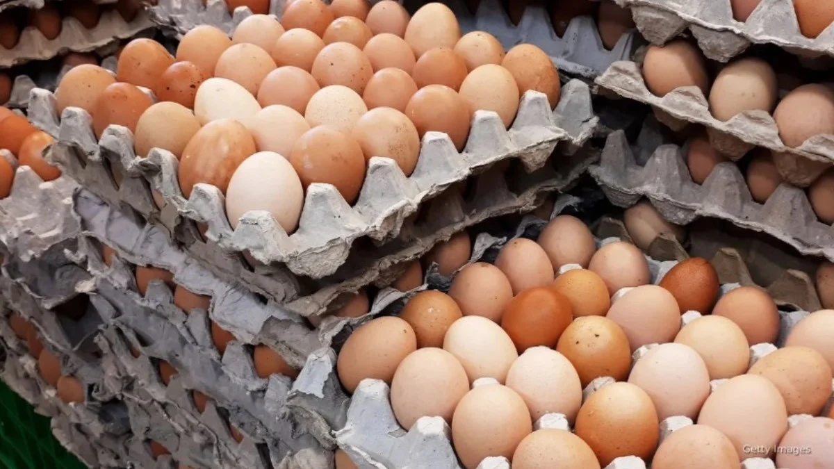 Kahverengi Yumurtalar Neden Satılmayacak Üretim Azaltılıyor, İşte Nedeni! 1