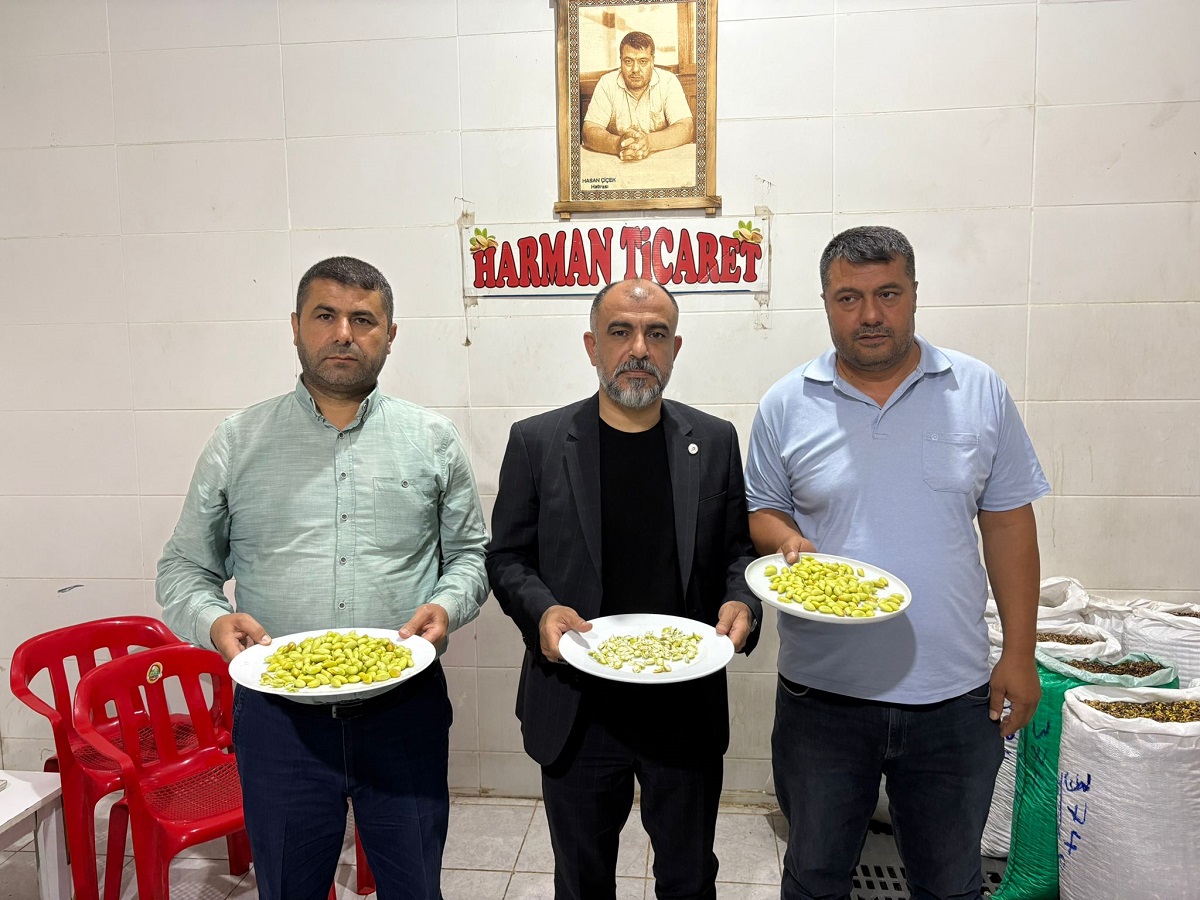Fıstık (1)-2