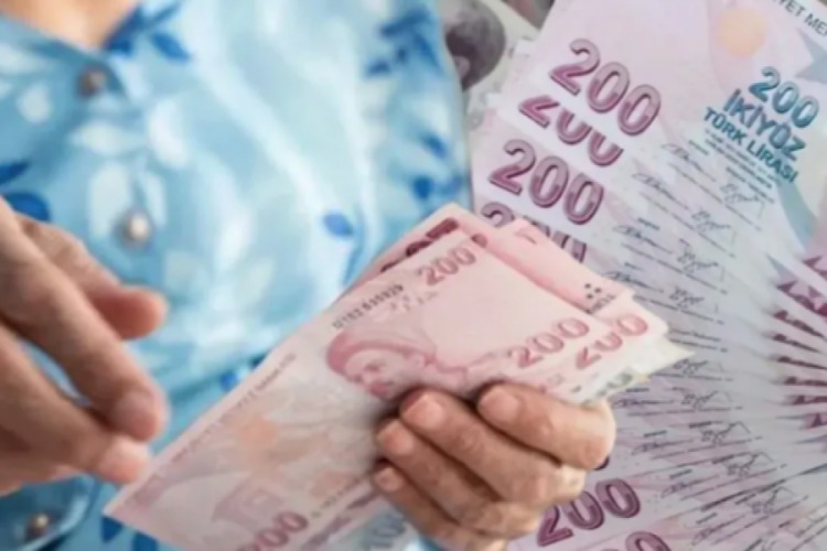Şimşek, özellikle fiyat istikrarının sağlanması ve cari açığın düşürülmesi için kapsamlı bir program yürüttüklerini savunuyor. 