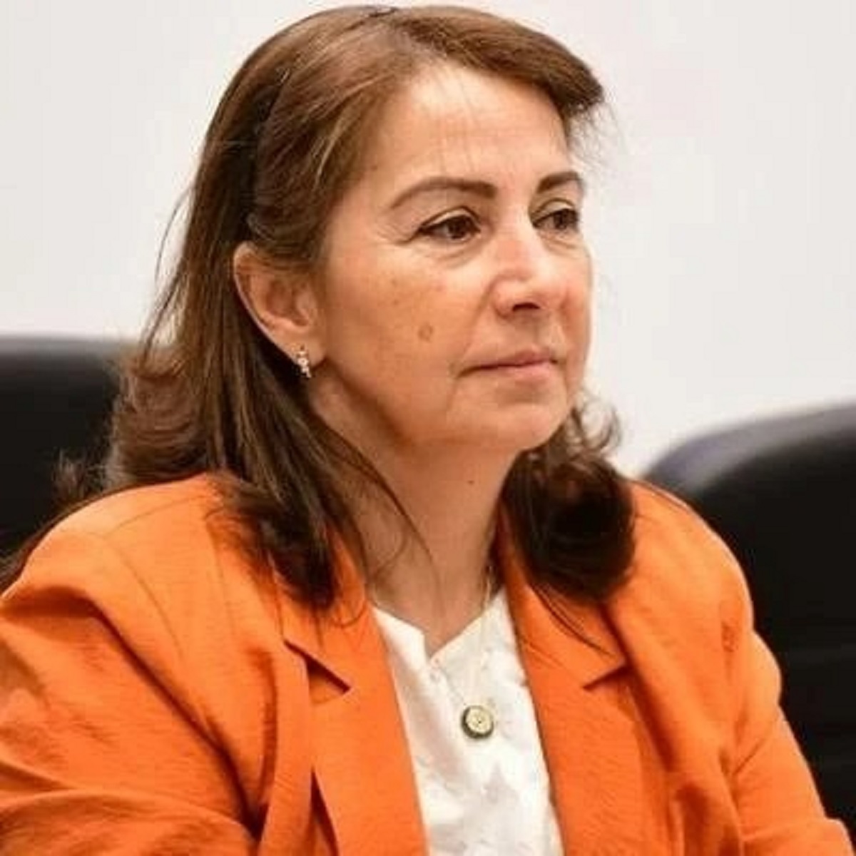 Sehitkamil Belediyesi Nde Ikinci