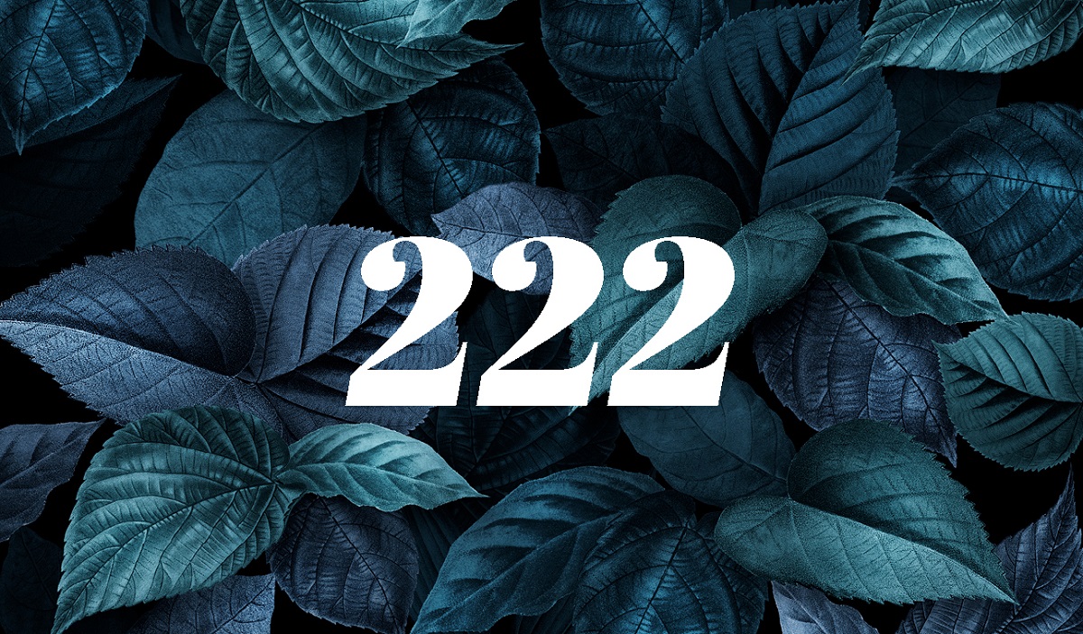 222 1-1