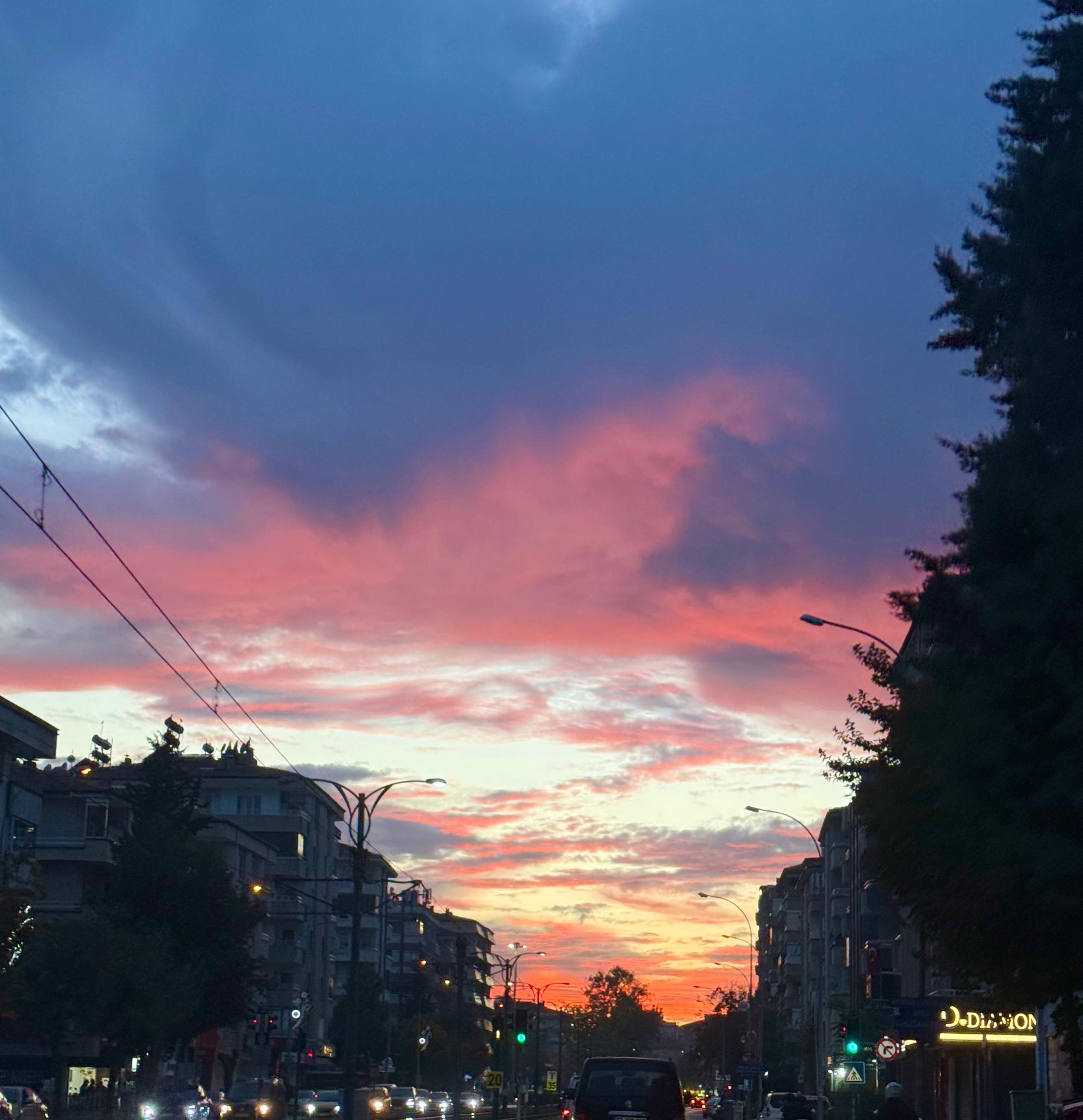 I M G 20251101 W A0072