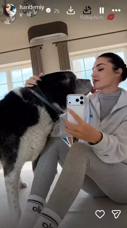 699Da76F2F3815012604A3C1