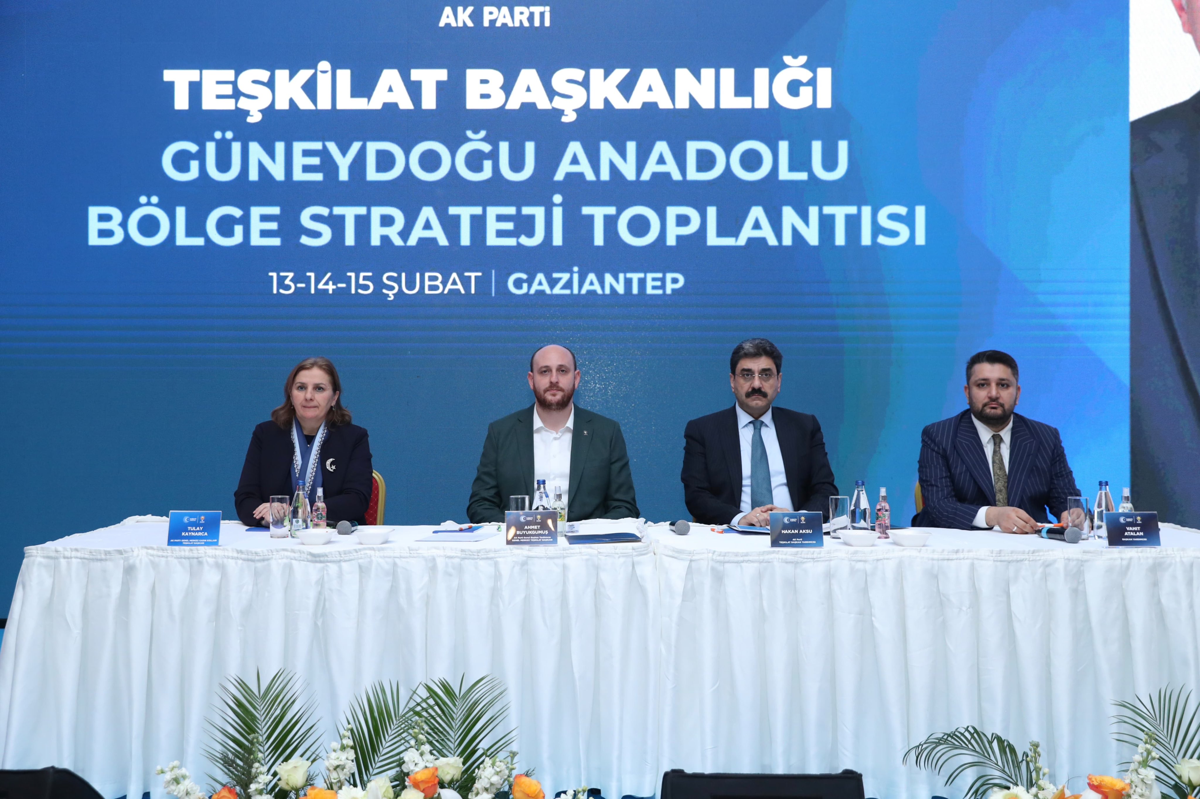 H B Mo V N Gag A E L U Vp