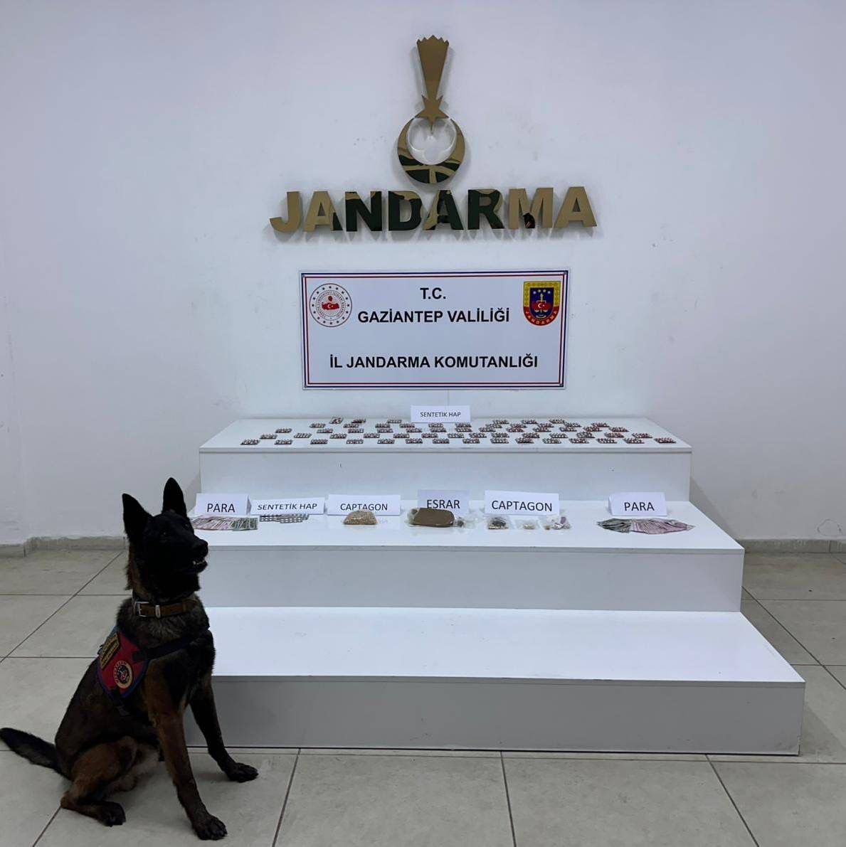 Whatsapp Image 2026 02 27 At 10.03.37 (1)