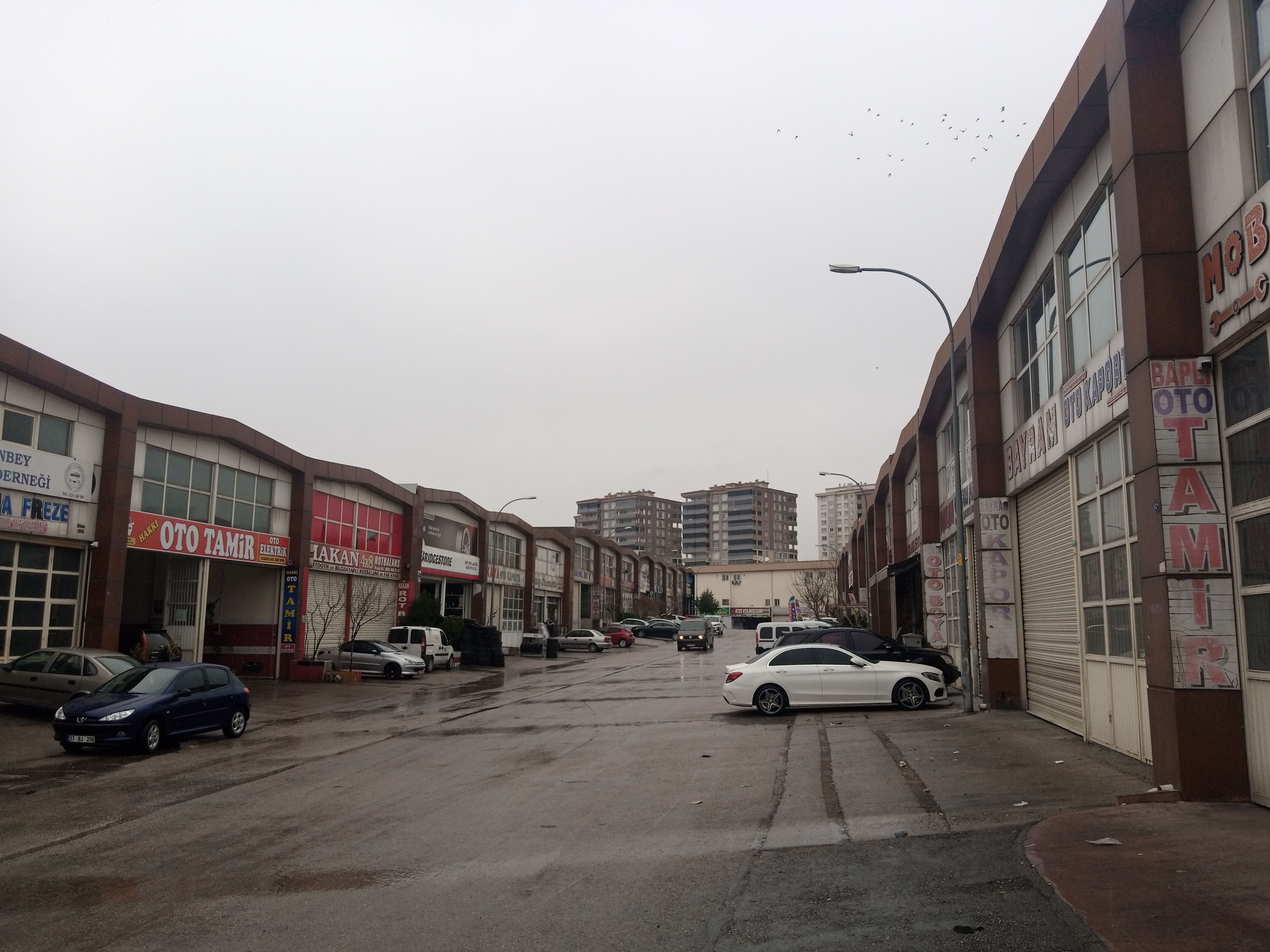 I M G 20260319 100855 759