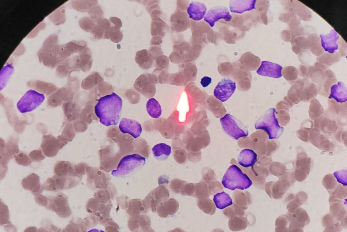 Whatsapp Image 2026 03 06 At 12.51.50 (2)