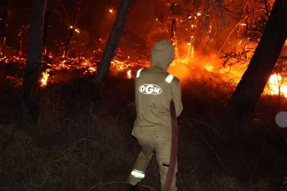 Orman Genel Müdürlüğü'nden yangınlara ilişkin açıklama