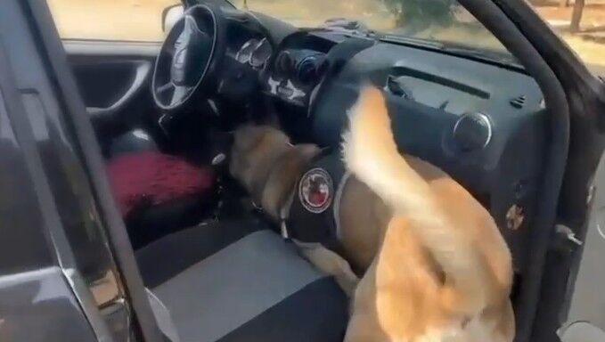 Gaziantep'te zehir tacirlerine aman yok! 3 kilo metamfetamin ele geçirildi: 1 gözaltı