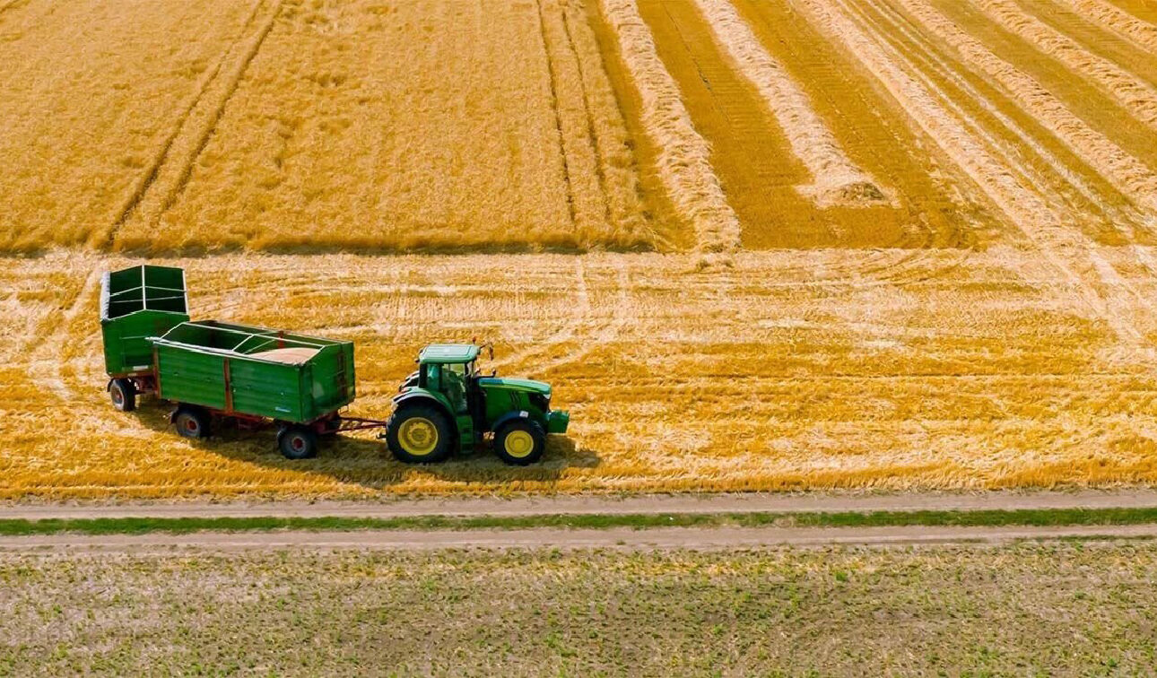 Gaziantep’te Çks Başvuruları Başladı! Çks’ye Nasıl Başvurulur Ve Gerekli Belgeler Nedir 4