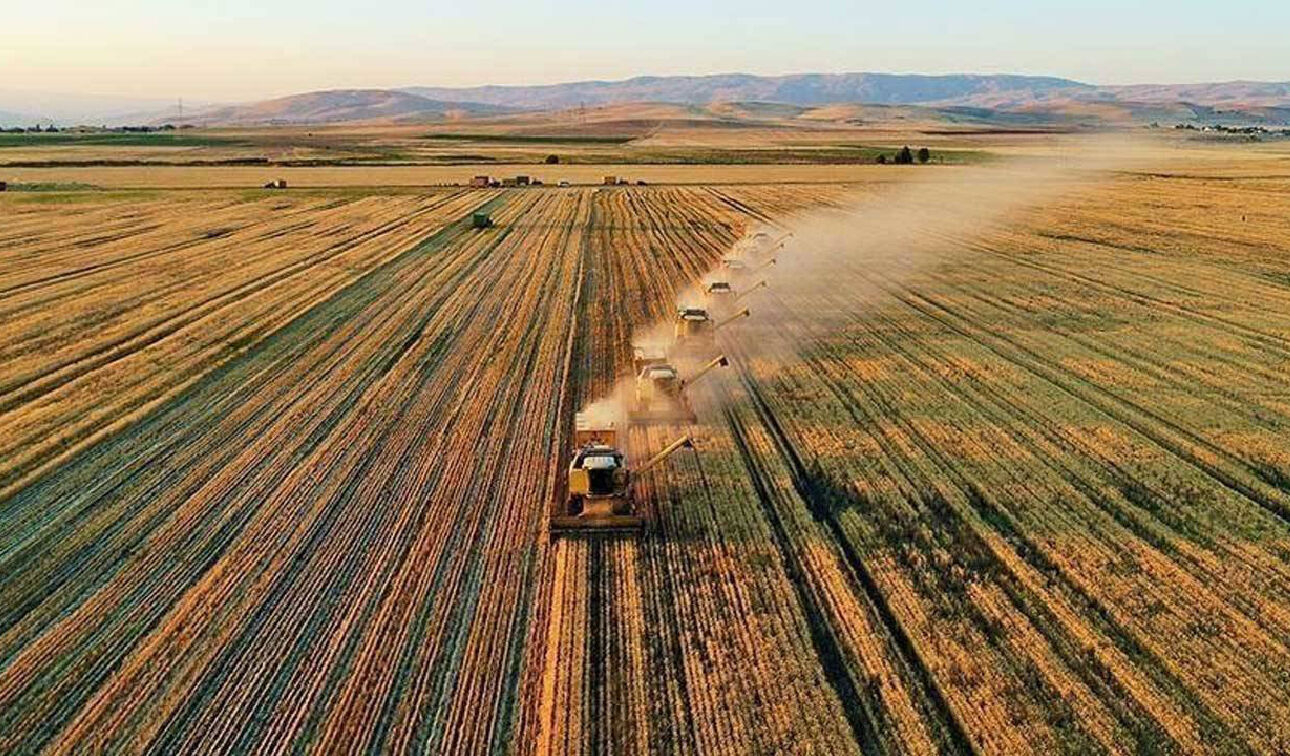 Gaziantep’te Çks Başvuruları Başladı! Çks’ye Nasıl Başvurulur Ve Gerekli Belgeler Nedir 5