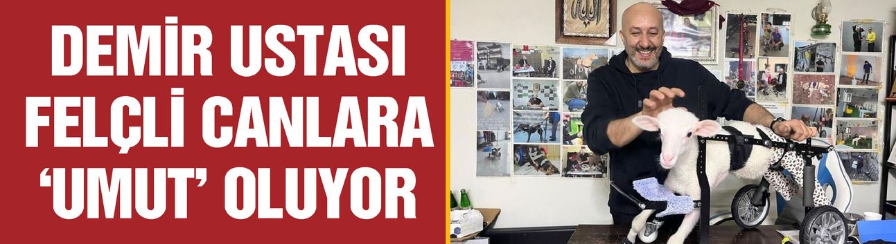 Demir ustası felçli canlara 'umut' oluyor! 9 yılda bin hayvanı ayağa kaldırdı