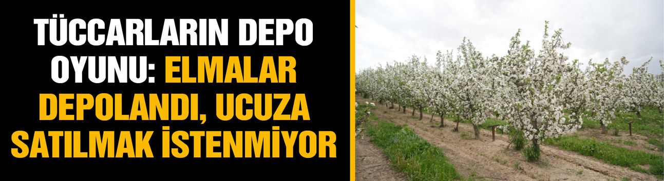 Tüccarların depo oyunu: Elmalar depolandı, ucuza satılmak istenmiyor